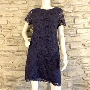 Anne Taylor lace Dress